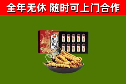 江津烟酒回收冬虫夏草礼盒.jpg